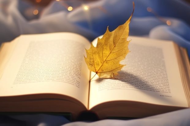 怀化师范高等专科学校学校的专业录取分数高吗