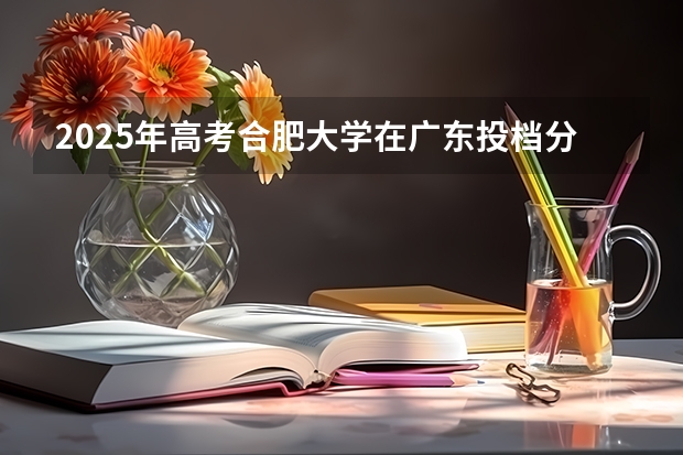 2025年高考合肥大学在广东投档分数线总汇（2026参考）