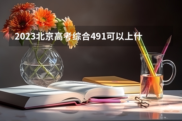 2023北京高考综合491可以上什么大学