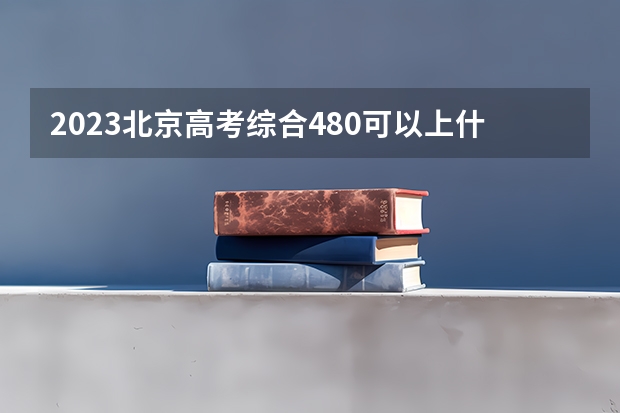 2023北京高考综合480可以上什么大学