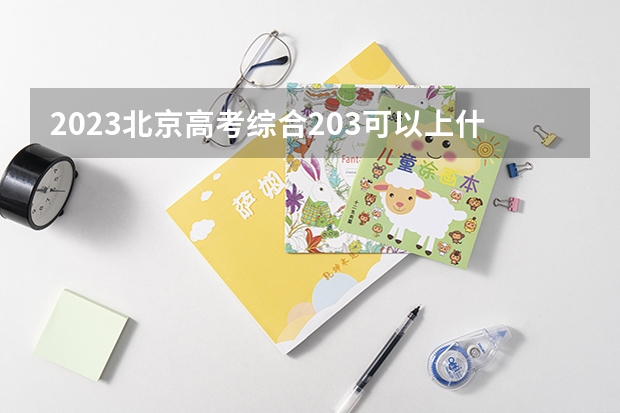 2023北京高考综合203可以上什么大学