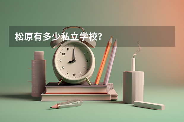 松原有多少私立学校?