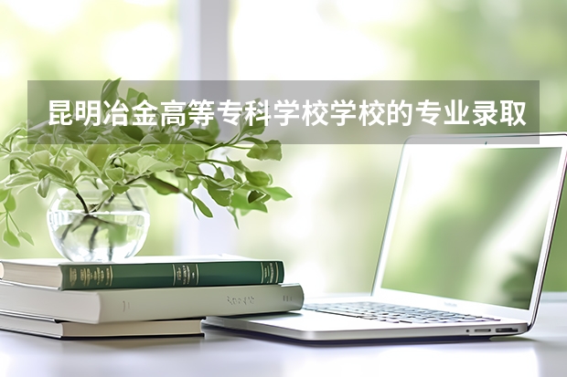 昆明冶金高等专科学校学校的专业录取分数高吗