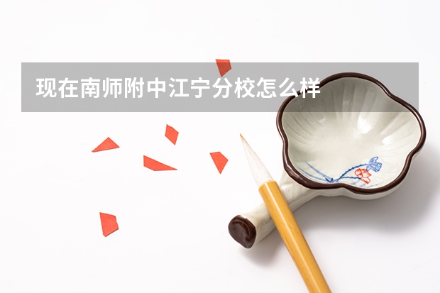 现在南师附中江宁分校怎么样 