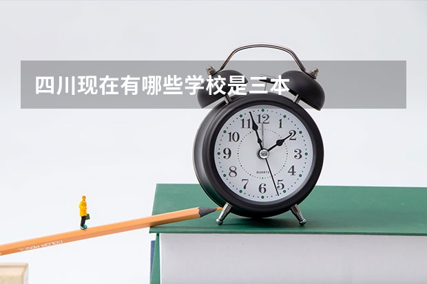 四川现在有哪些学校是三本