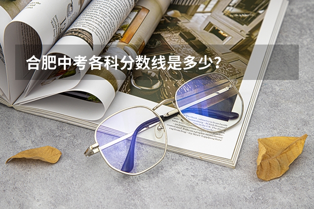 合肥中考各科分数线是多少?