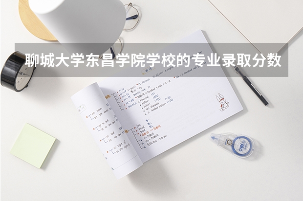 聊城大学东昌学院学校的专业录取分数高吗