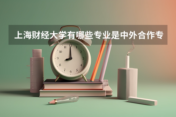 上海财经大学有哪些专业是中外合作专业?