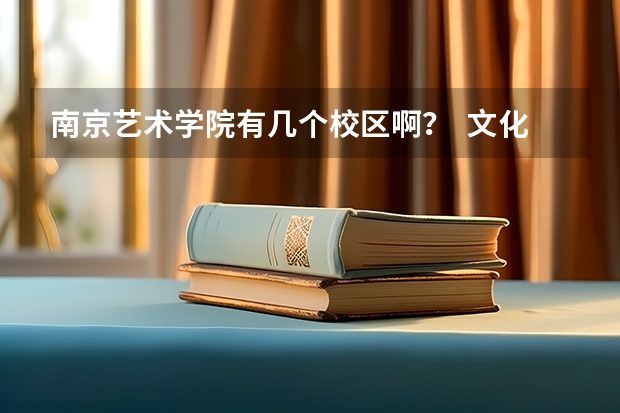 南京艺术学院有几个校区啊？  文化产业管理专业在哪个校区？