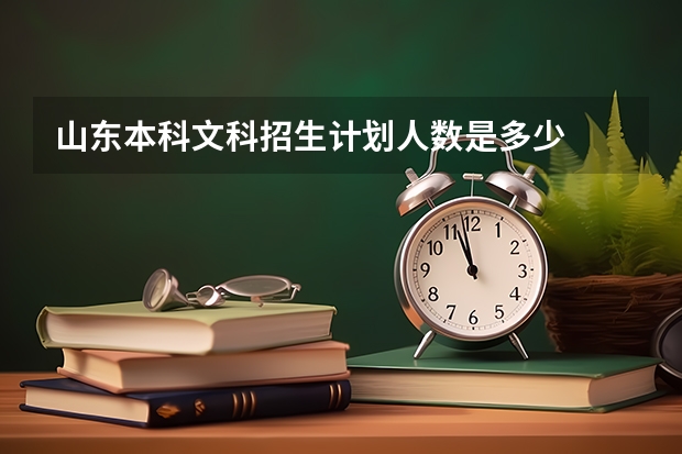 山东本科文科招生计划人数是多少