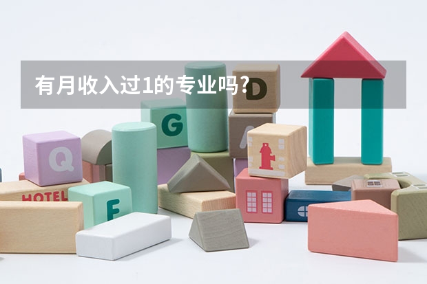 有月收入过1的专业吗?