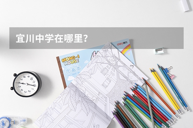 宜川中学在哪里?