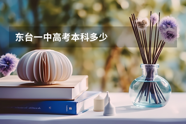 东台一中高考本科多少