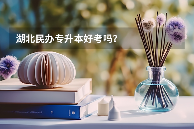 .湖北民办专升本好考吗?