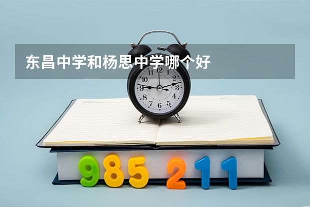 东昌中学和杨思中学哪个好