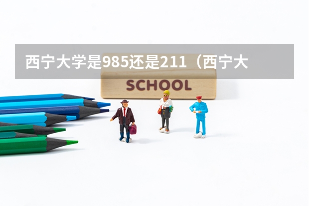 西宁大学是985还是211(西宁大学是985还是211)