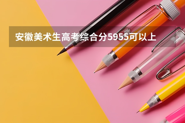 安徽美术生高考综合分595.5可以上什么大学?