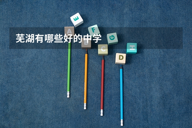 芜湖有哪些好的中学