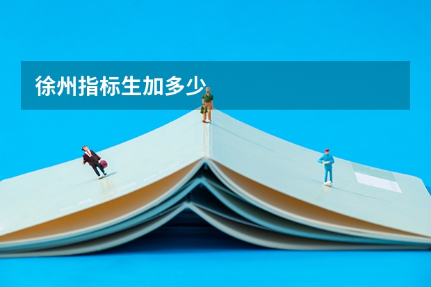 徐州指标生加多少