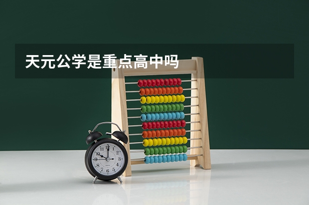 天元公学是重点高中吗
