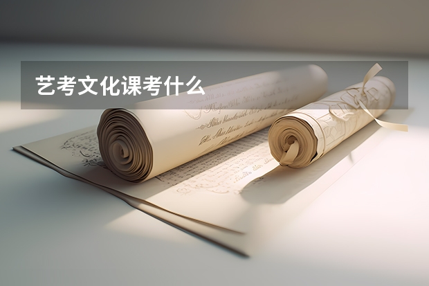 艺考文化课考什么