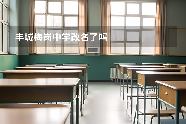 丰城梅岗中学改名了吗