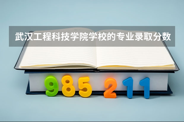 武汉工程科技学院学校的专业录取分数高吗