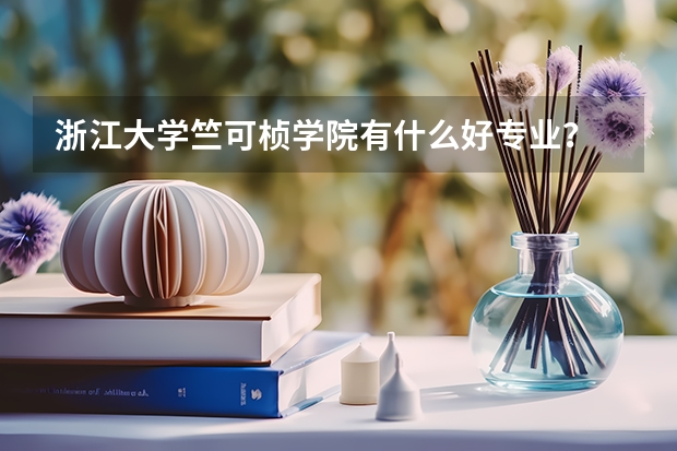 浙江大学竺可桢学院有什么好专业？