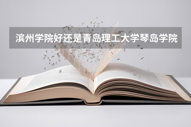 滨州学院好还是青岛理工大学琴岛学院好呢?
