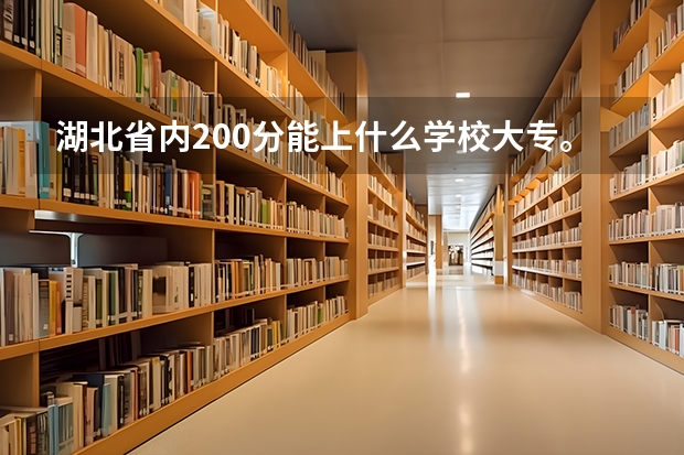 湖北省内200分能上什么学校大专。。。求