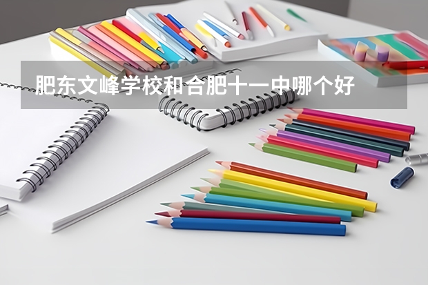 肥东文峰学校和合肥十一中哪个好