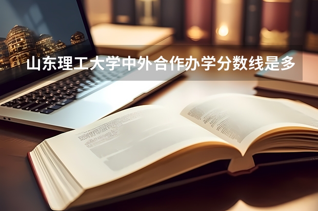 山东理工大学中外合作办学分数线是多少？