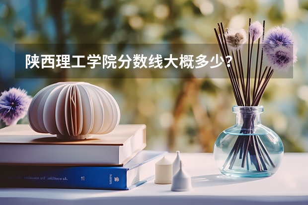 陕西理工学院分数线大概多少?