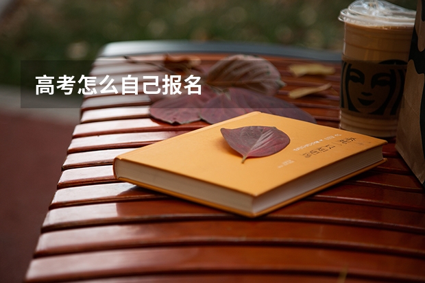 高考怎么自己报名