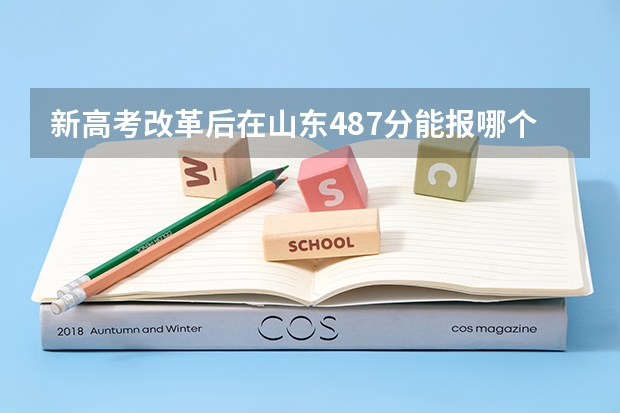 新高考改革后在山东487分能报哪个学校
