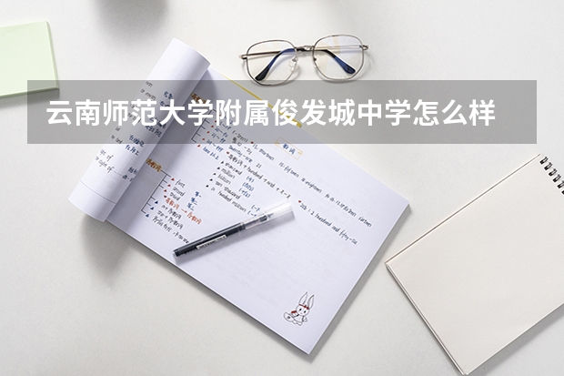 云南师范大学附属俊发城中学怎么样