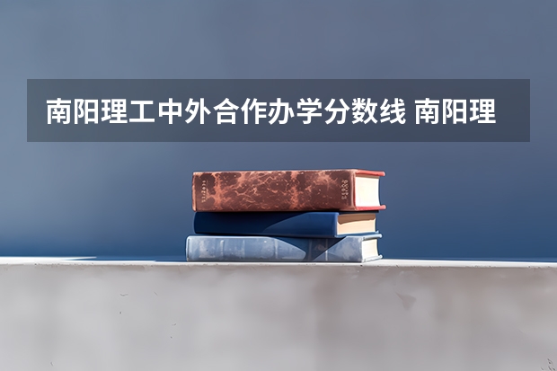 南阳理工中外合作办学分数线 南阳理工学院录取分数线