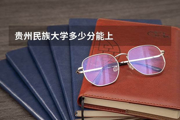 贵州民族大学多少分能上