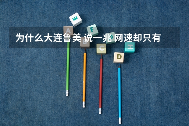 为什么大连鲁美 说一兆 网速却只有0.1兆 那么慢 ？？大学 高考