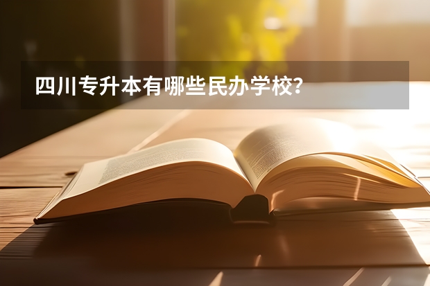 四川专升本有哪些民办学校？