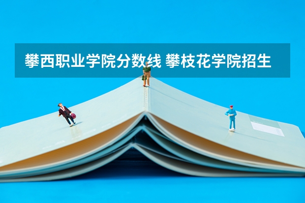 攀西职业学院分数线 攀枝花学院招生简章