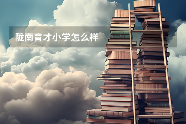 陇南育才小学怎么样
