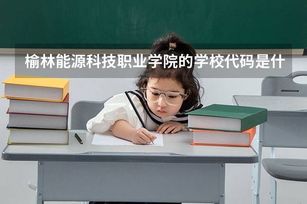 榆林能源科技职业学院的学校代码是什么