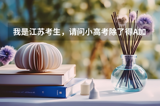 我是江苏考生,请问小高考除了得A加分 得D算不通过以外 B和C区别大吗?大学会看小高考成绩吗?