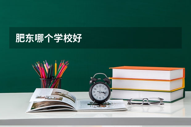肥东哪个学校好