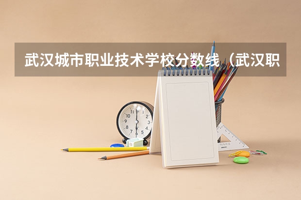 武汉城市职业技术学校分数线（武汉职业技术学院分数线）