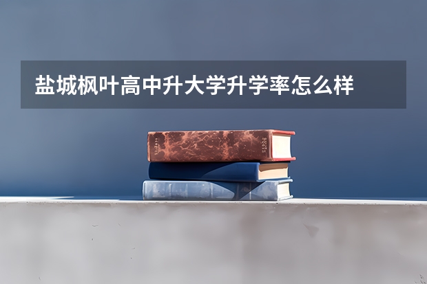盐城枫叶高中升大学升学率怎么样