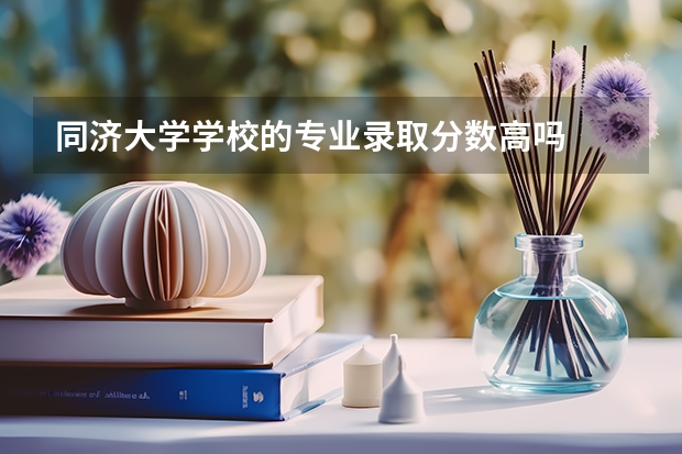 同济大学学校的专业录取分数高吗