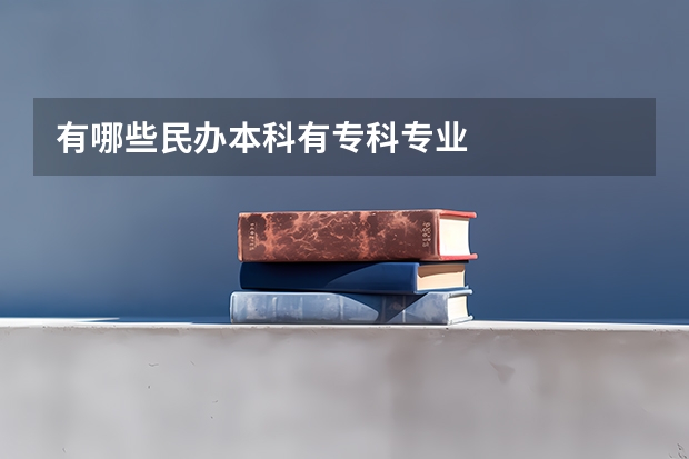 有哪些民办本科有专科专业