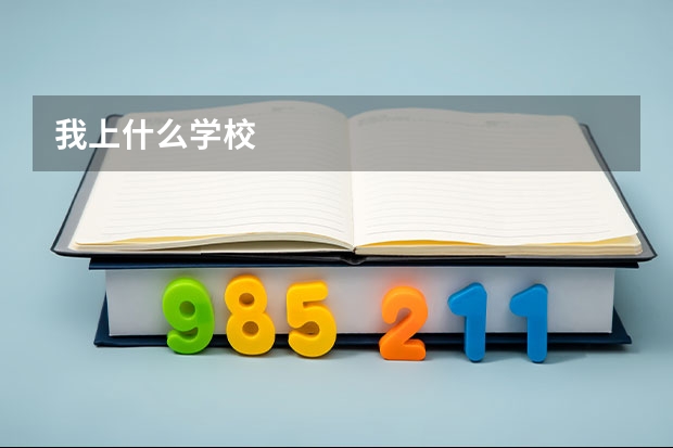我上什么学校